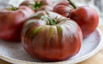 Перекормленные помидоры в теплице: что делать?